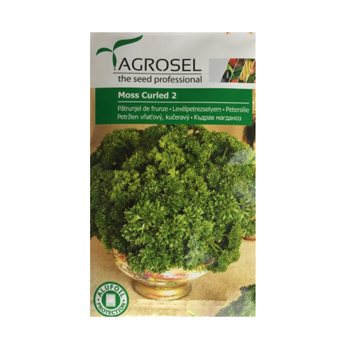 Patrunjel de frunze Moss Curled 5 gr - Agrosel - seminte-de-legume.ro