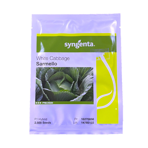 Varza Sarmello F1 2500 seminte - Syngenta - seminte-de-legume.ro