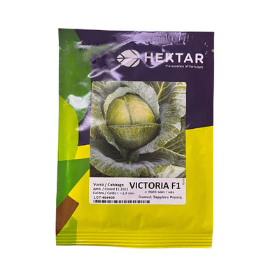 Varza Victoria F1 2500 seminte - Hektar - seminte-de-legume.ro